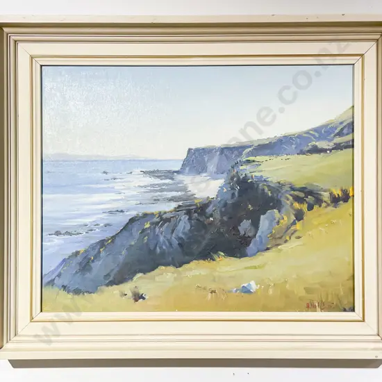 D R Neilson - Cliff Side Sea View