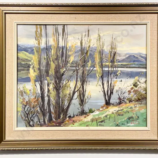 D R Neilson - Lake Hayes