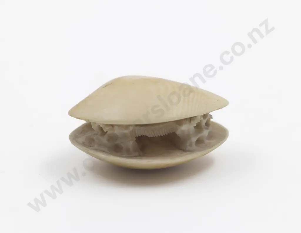 Japanese Ivory Netsuke Of An Open Clam Shell Image 1++