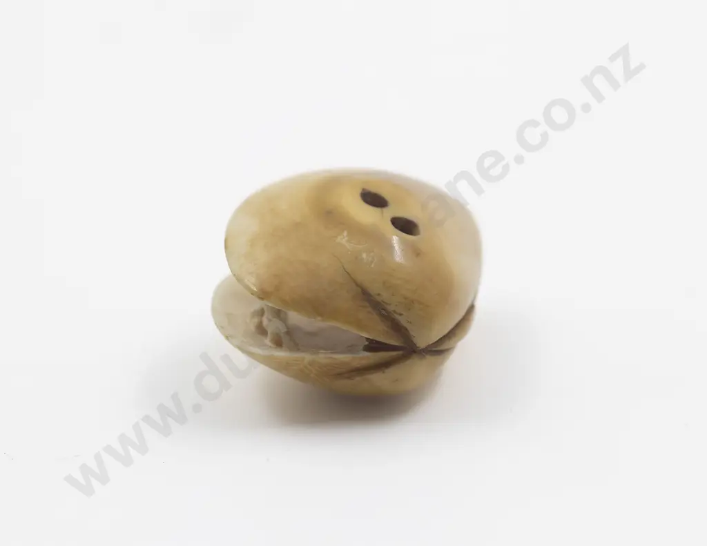 Japanese Ivory Netsuke Of An Open Clam Shell Image 1++