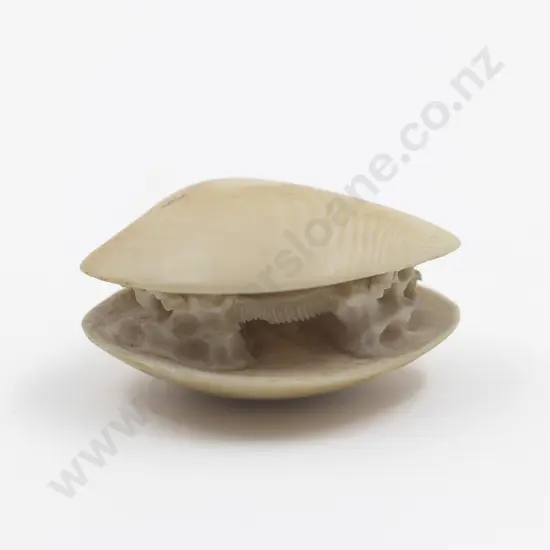 Japanese Ivory Netsuke Of An Open Clam Shell