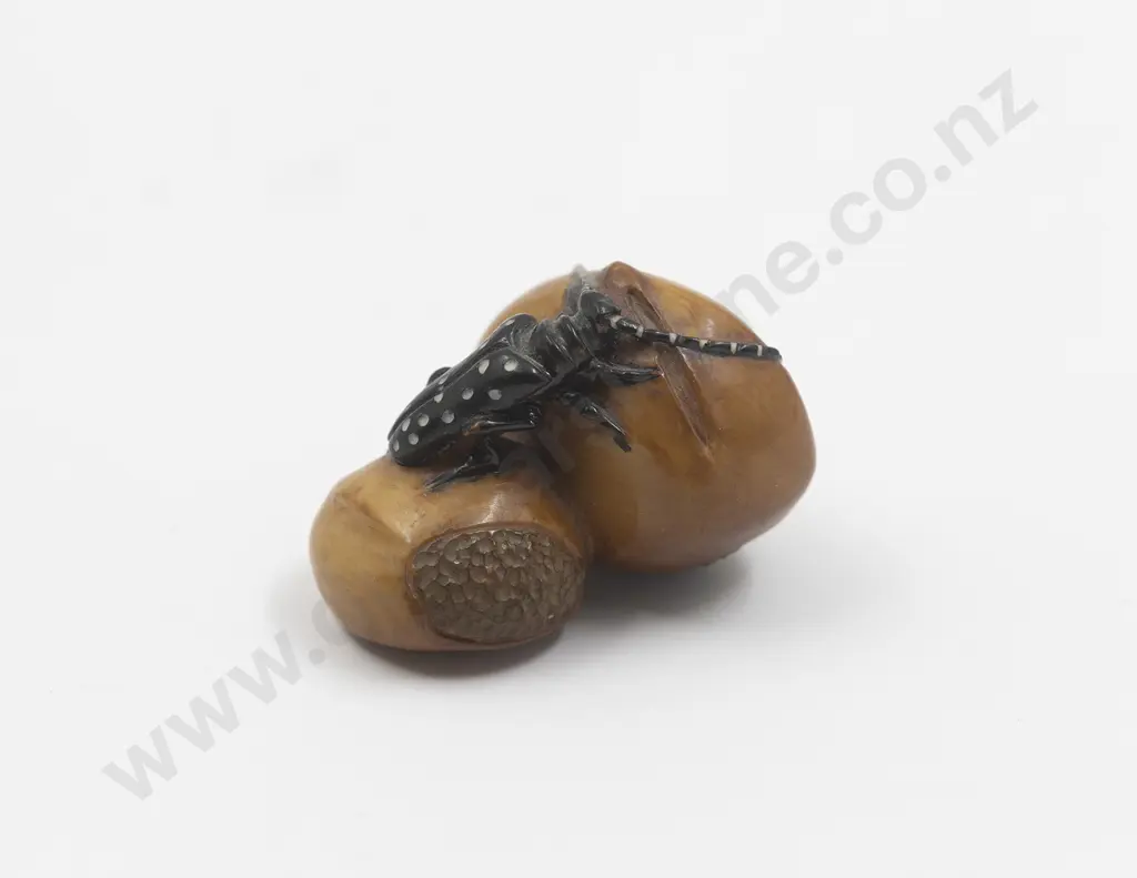 Japanese Ivory Netsuke Of A Beatle Crawling Over Two Seed Pods Image 1++