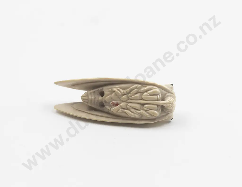 Japanese Ivory Netsuke Of A Cicada Image 1++