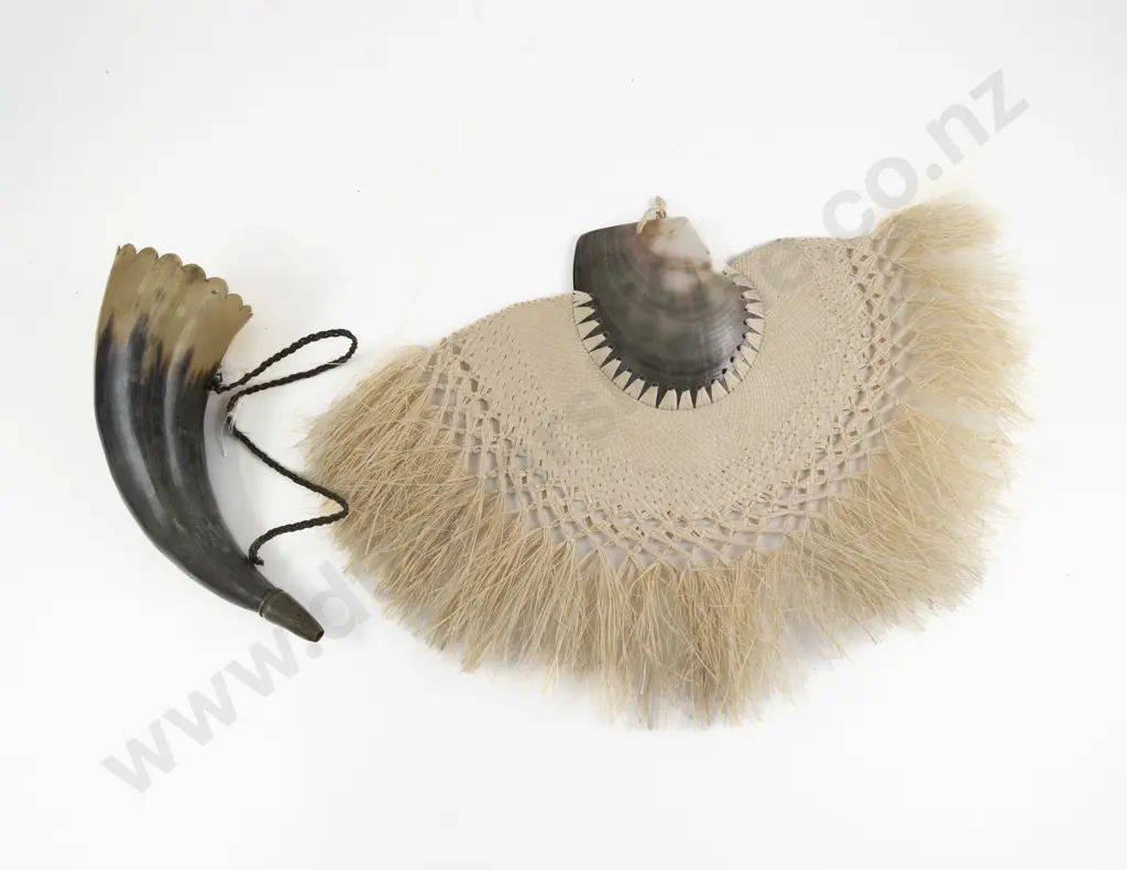 A Pacific Island Fan with A Horn Image 1++