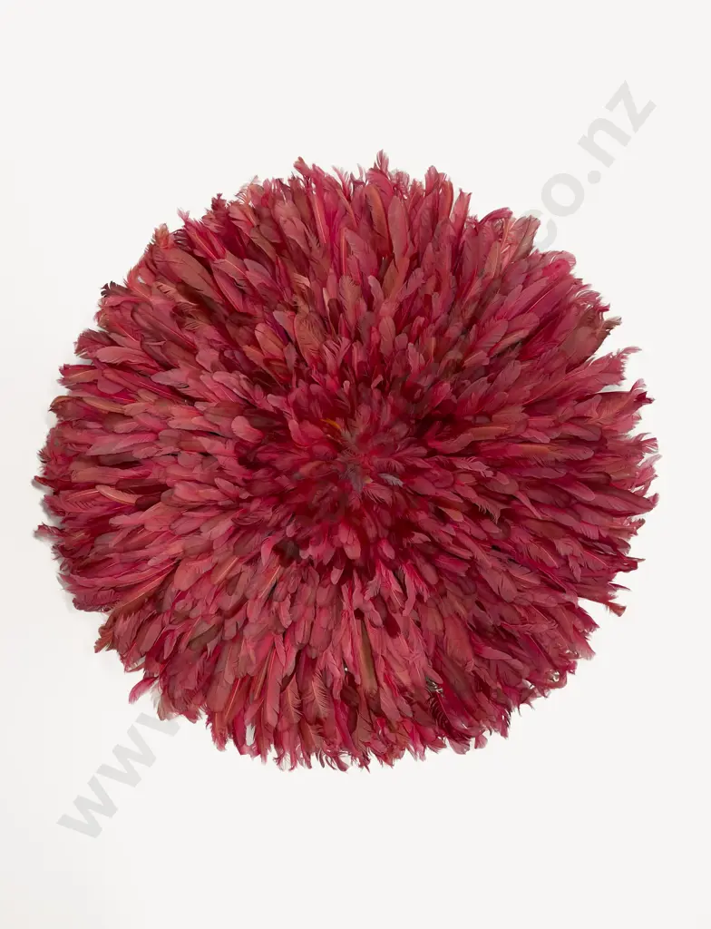 A Large African Feather Head Adornment Image 1++