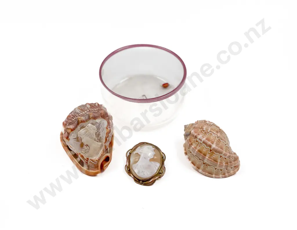 Cameo Brooch together with Two Cameo Shells Image 1++