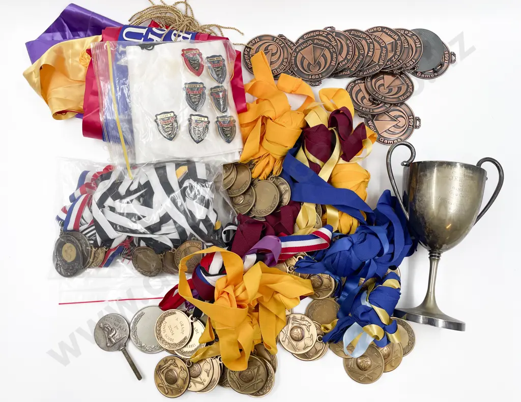 Large Collection South Island Gun Club Target and Clay Shooting Medals Ribbons and Badges Image 1++