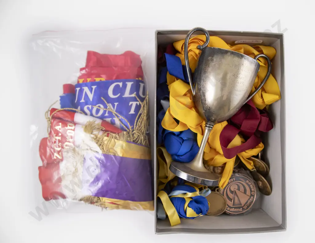Large Collection South Island Gun Club Target and Clay Shooting Medals Ribbons and Badges Image 1++