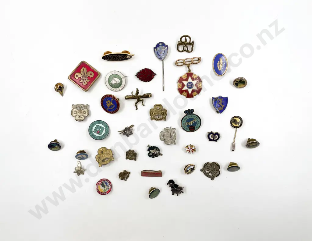 Collection NZ Girl Guide and Boy Scout Badges and Assorted Pins Image 1++