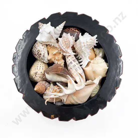 Qty of Assorted Shells in Pottery Bowl