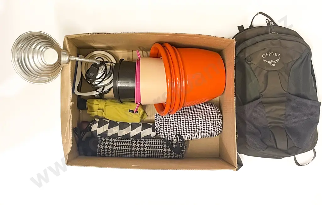 Box Qty of Assorted incl Blunt Umbrella Image 1++