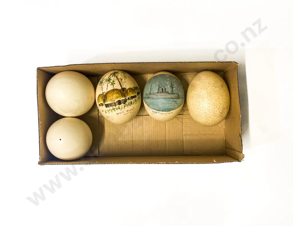Five Assorted Ostrich Eggs incl Hand Painted Image 1++