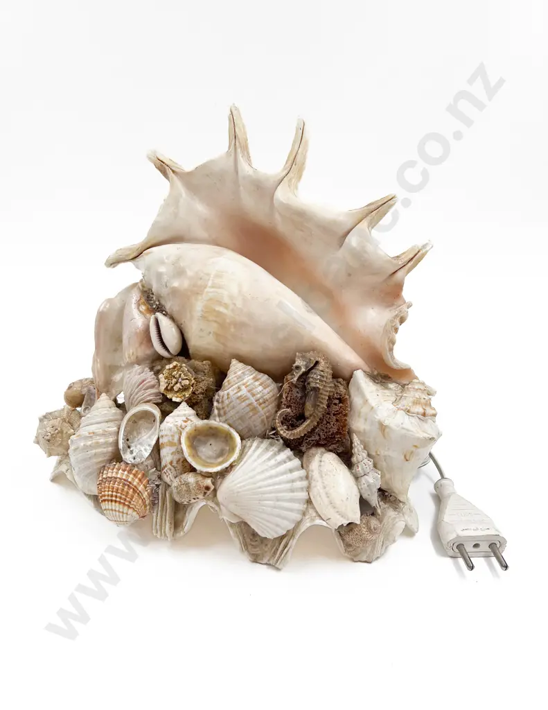 Sea Shell Table Lamp Image 1++