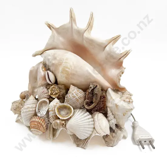 Sea Shell Table Lamp