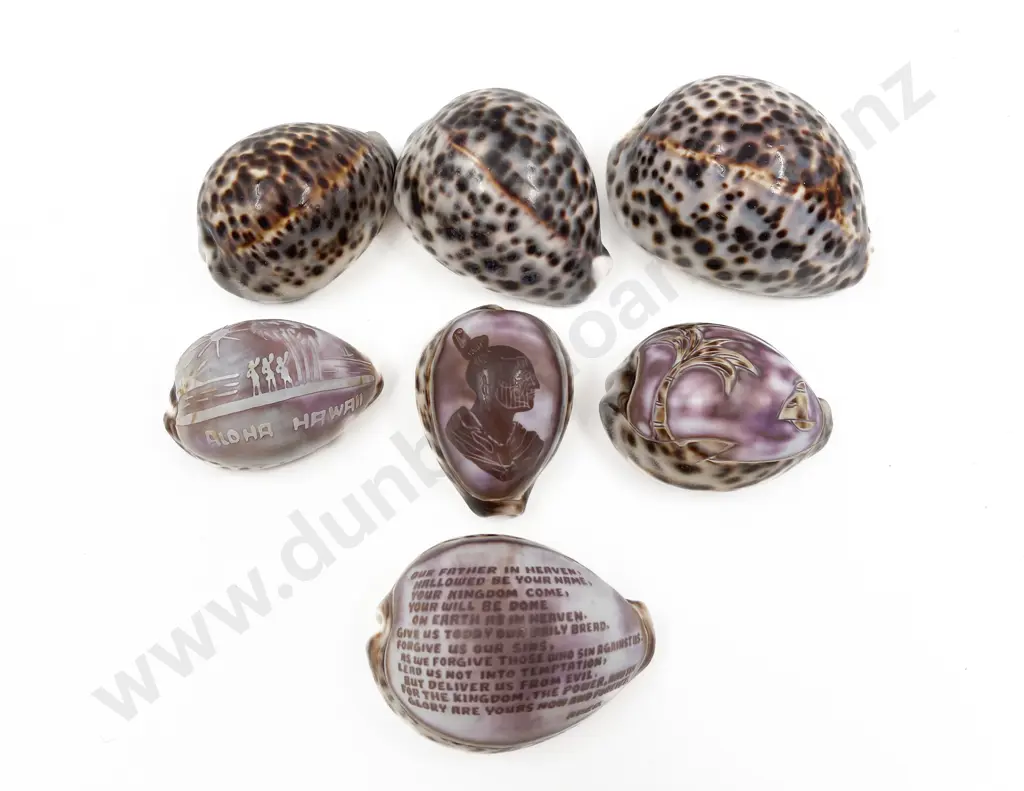 Small Qty of Assorted Cameo Shells Image 1++