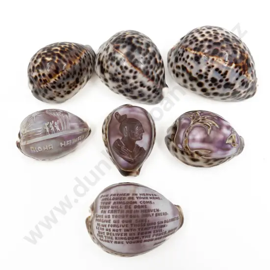 Small Qty of Assorted Cameo Shells