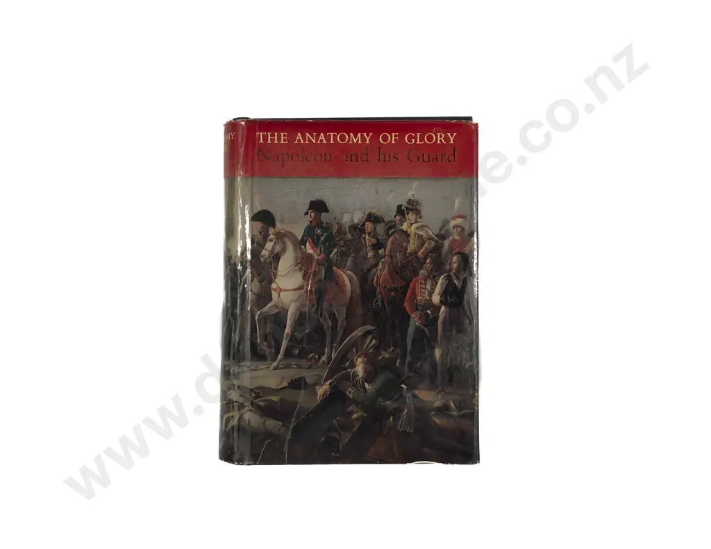 Napoleon and His Guard Image 1++