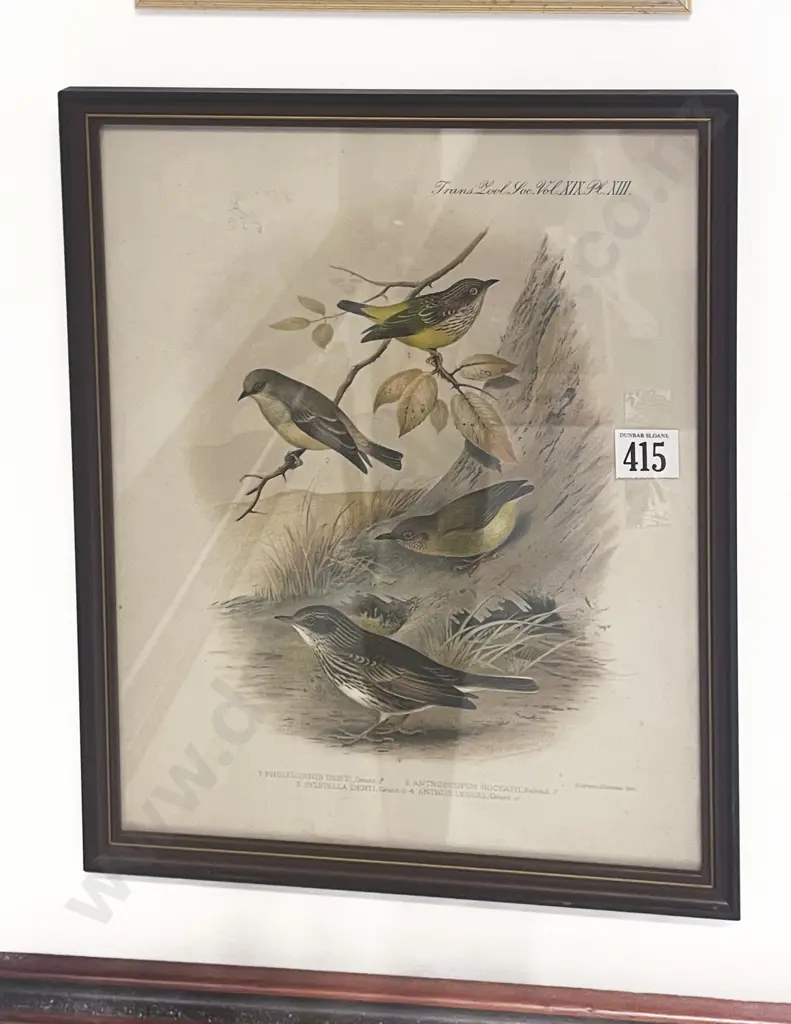 Ornithological Book Plate Image 1++