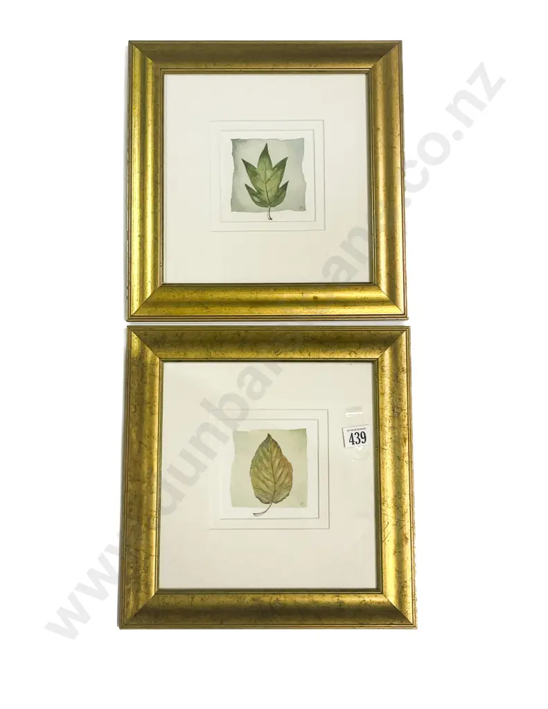 Pair of Botanical Study Watercolours together with Print Image 1++