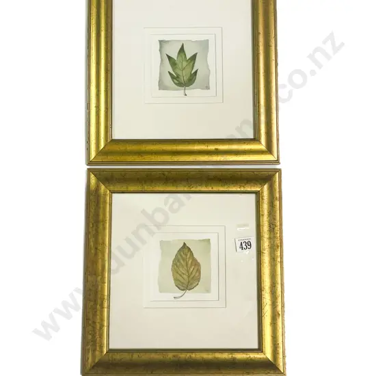 Pair of Botanical Study Watercolours together with Print