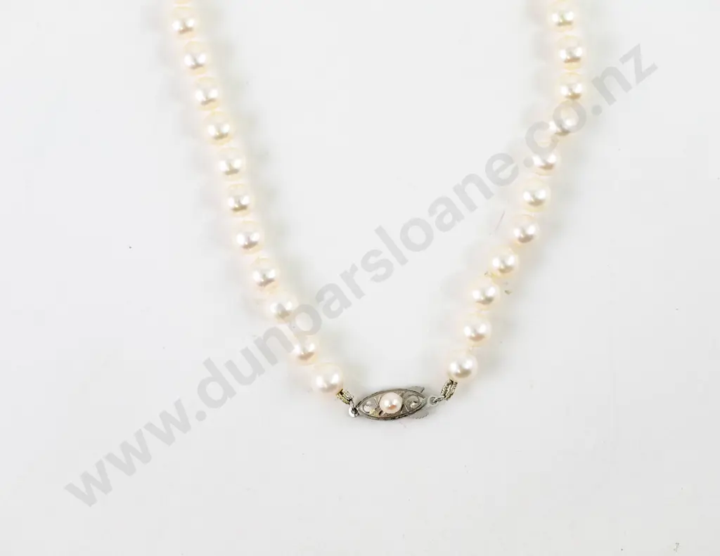 Single Strand Uniform Cultured Pearl Necklace Image 1++