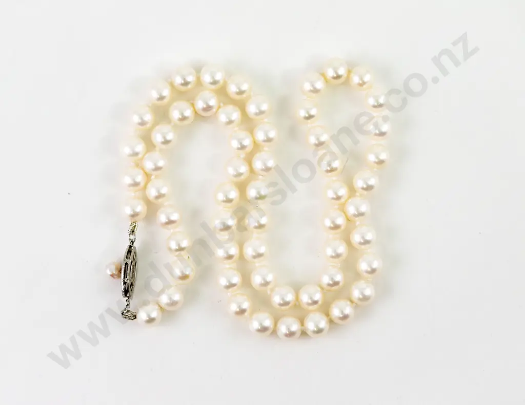 Single Strand Uniform Cultured Pearl Necklace Image 1++
