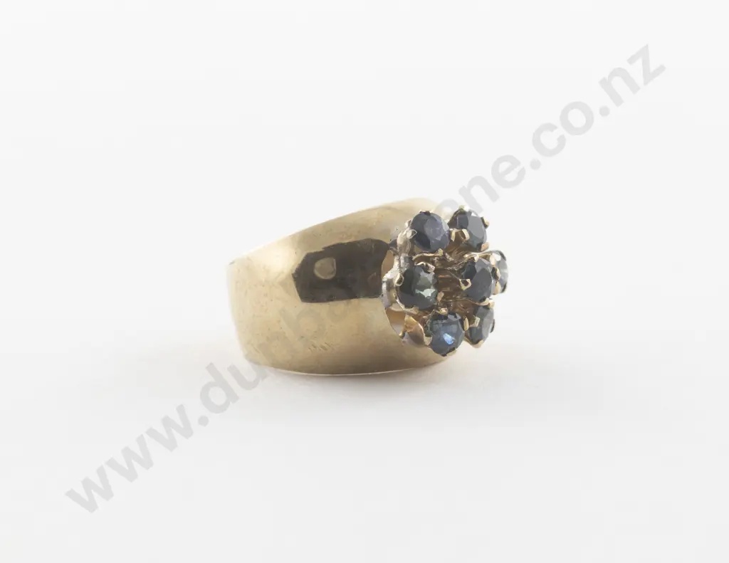 9ct Seven Stone Sapphire Floret Cluster Ring Image 1++