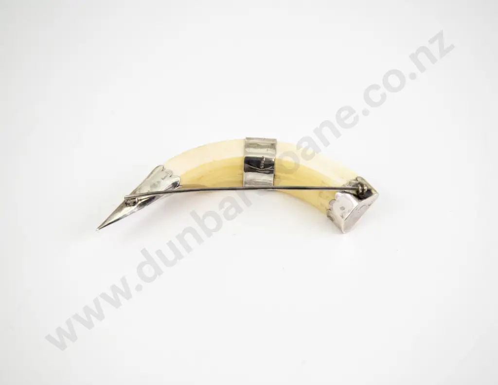 NZ Colonial S/S Mounted Tusk Brooch Image 1++