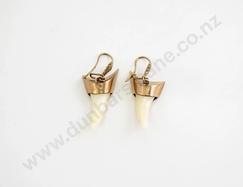 Pair 9ct Mounted Shark Tooth Earrings Image 1++