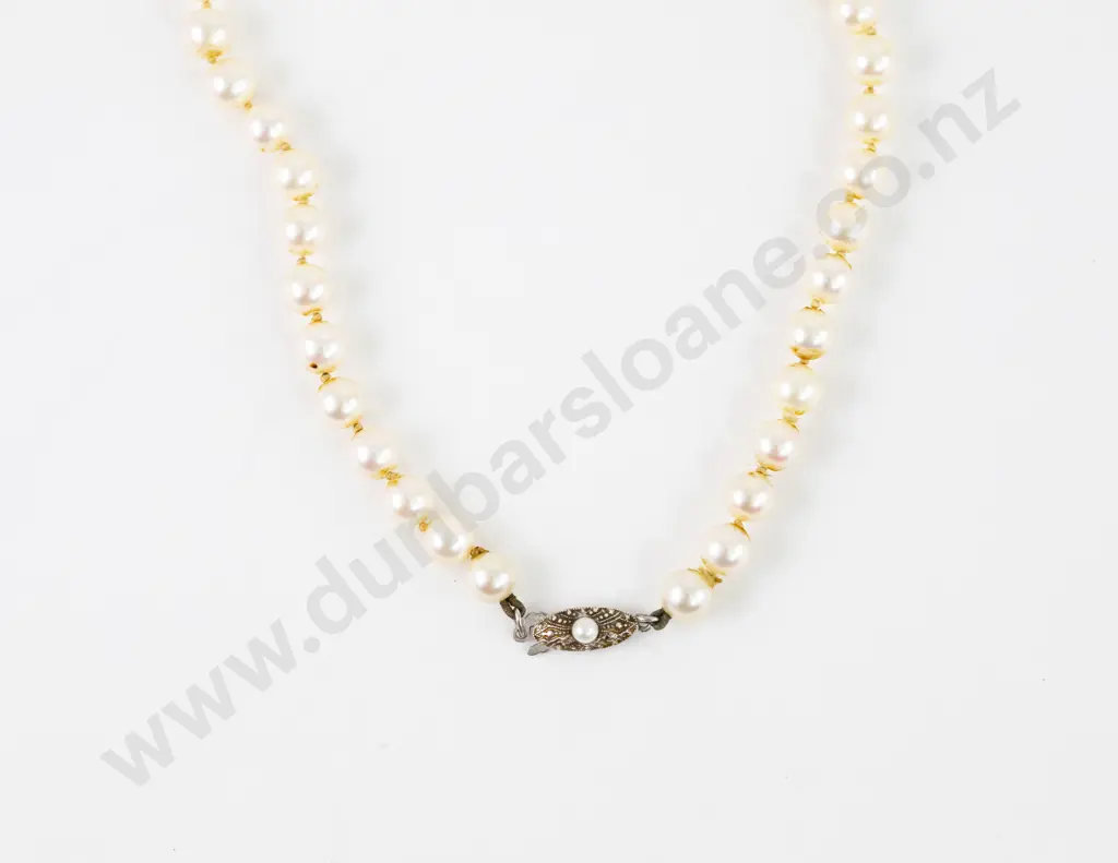 Mikimoto Single Strand Uniform Cultured Pearl Necklace Image 1++