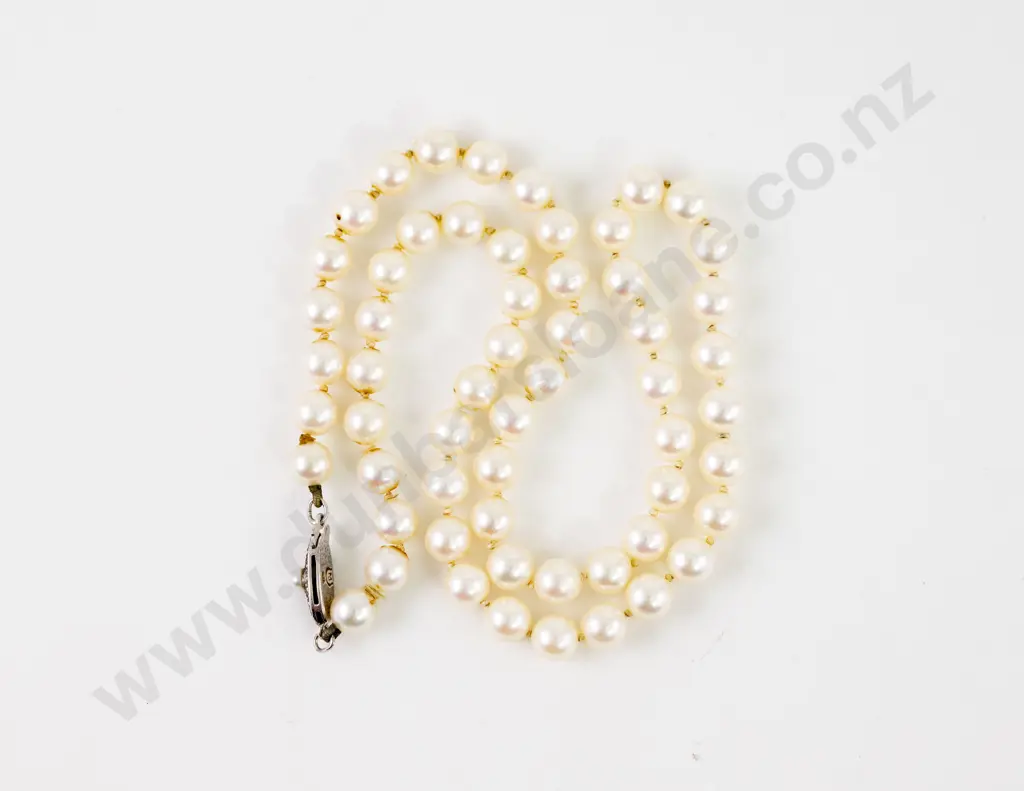 Mikimoto Single Strand Uniform Cultured Pearl Necklace Image 1++