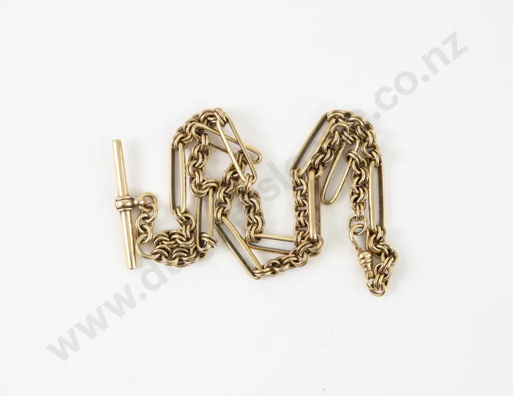 9ct Rail and Trace Link Albert Chain Image 1++