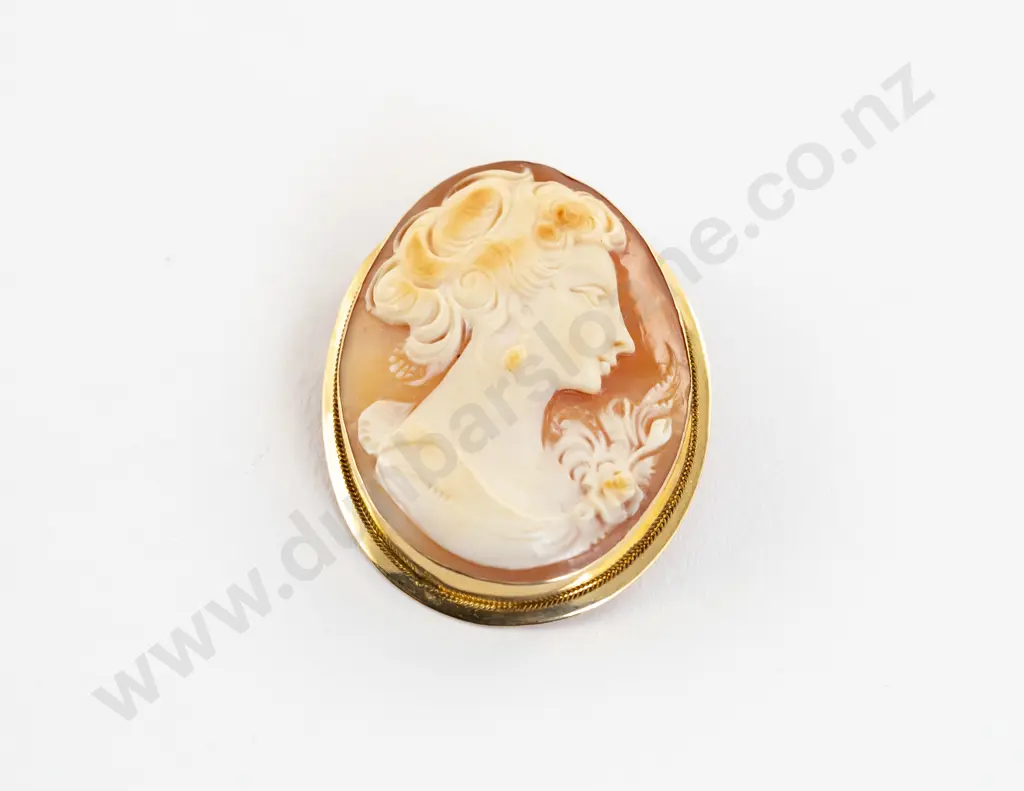 14ct Framed Classical Portrait Cameo Brooch Image 1++