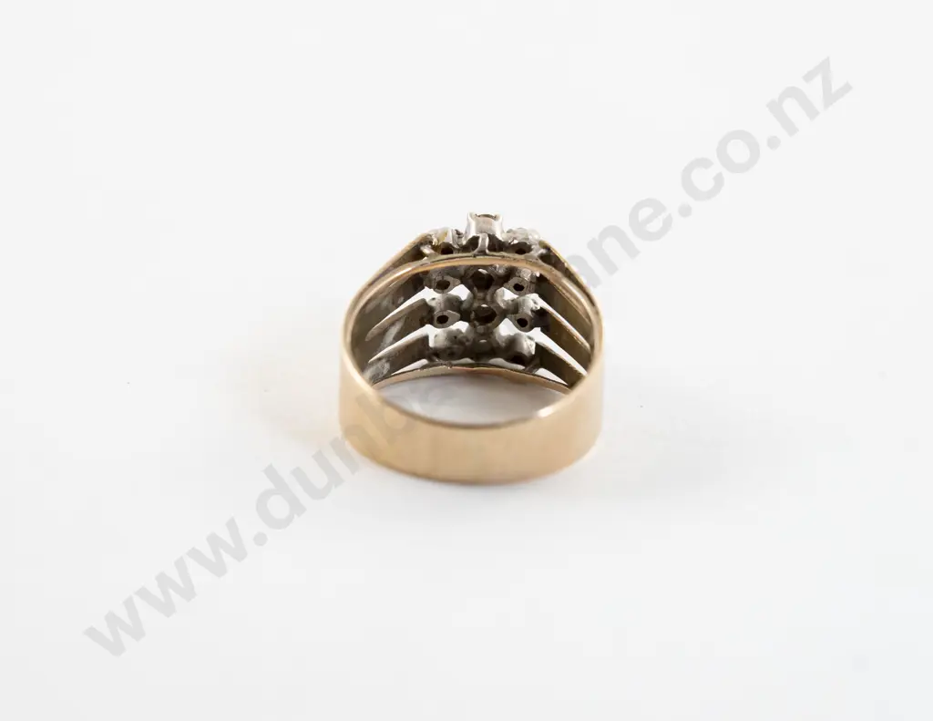 9ct White and Yellow Gold Twelve Stone Diamond Ring Image 1++