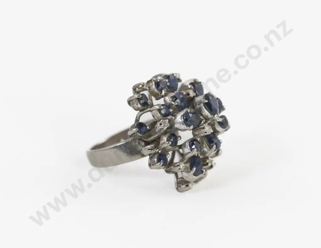 18ct White Gold 33Stone Diamond and Sapphire Cluster Ring Image 1++