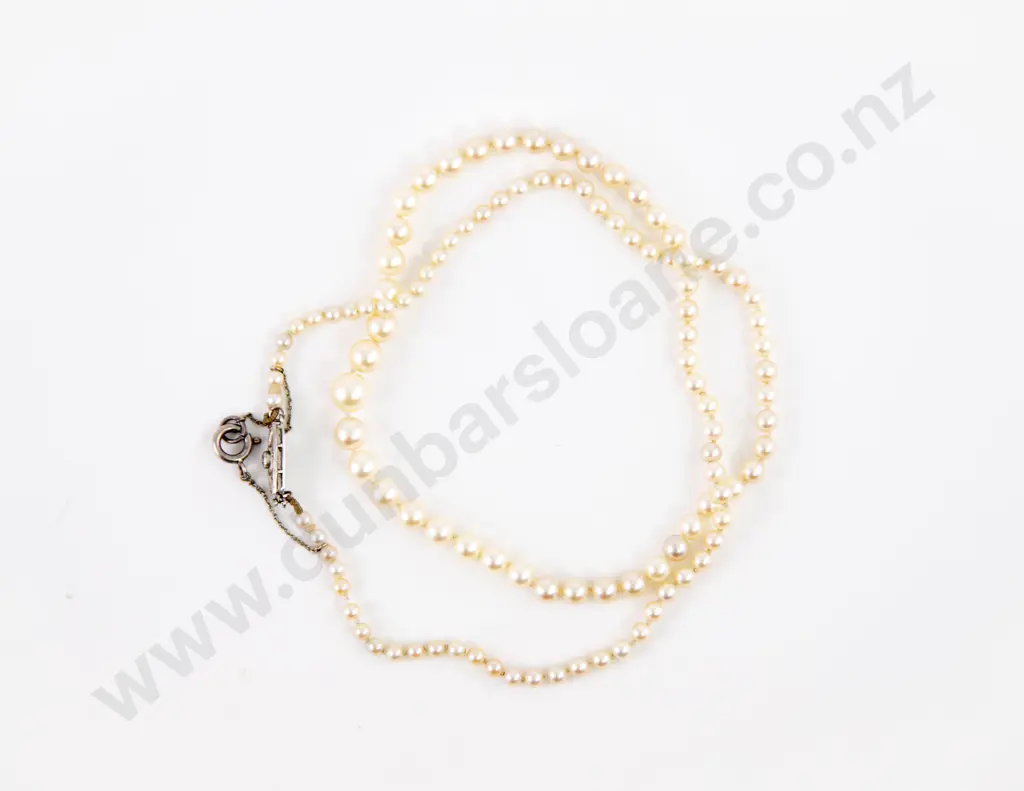 Single Strand Graduated Cultured Pearl Necklace Image 1++