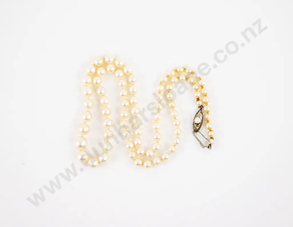 Single Strand Graduated Cultured Pearl Necklace Image 1++
