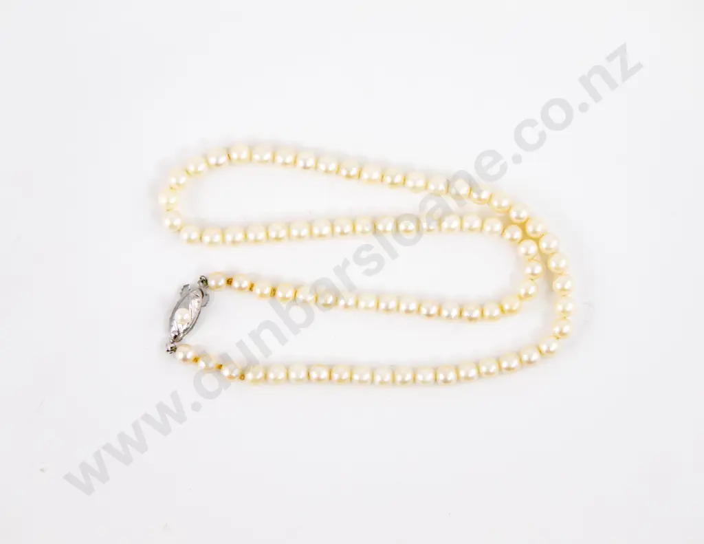 Single Strand Uniform Cultured Pearl Necklace Image 1++