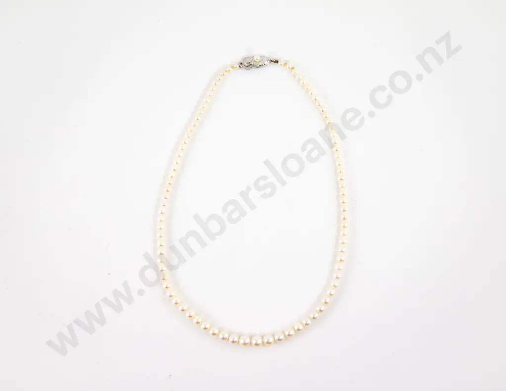 Single Strand Graduated Cultured Pearl Necklace Image 1++