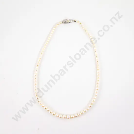 Single Strand Graduated Cultured Pearl Necklace