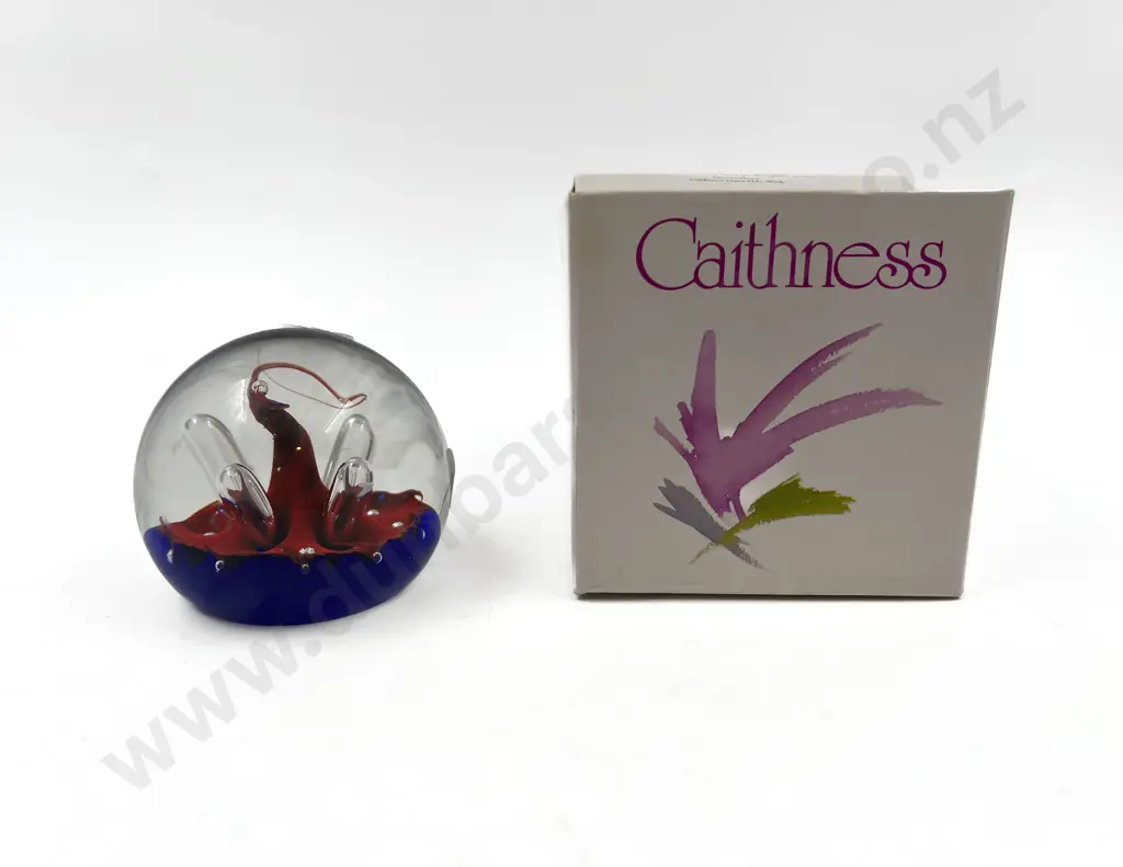 Boxed Caithness Art Glass Paperweight "Moonflower" Image 1++