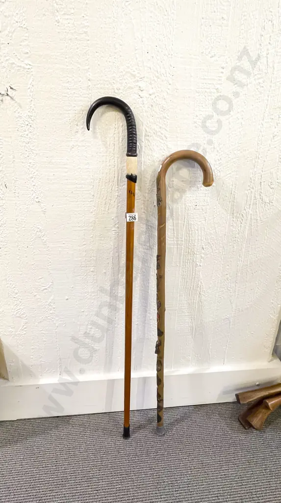 Two Assorted Decorative Walking Sticks Image 1++