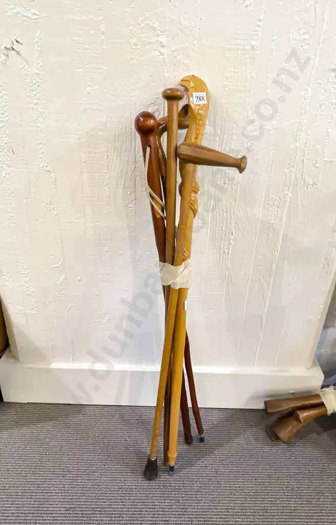 Five Assorted Walking Sticks Image 1++