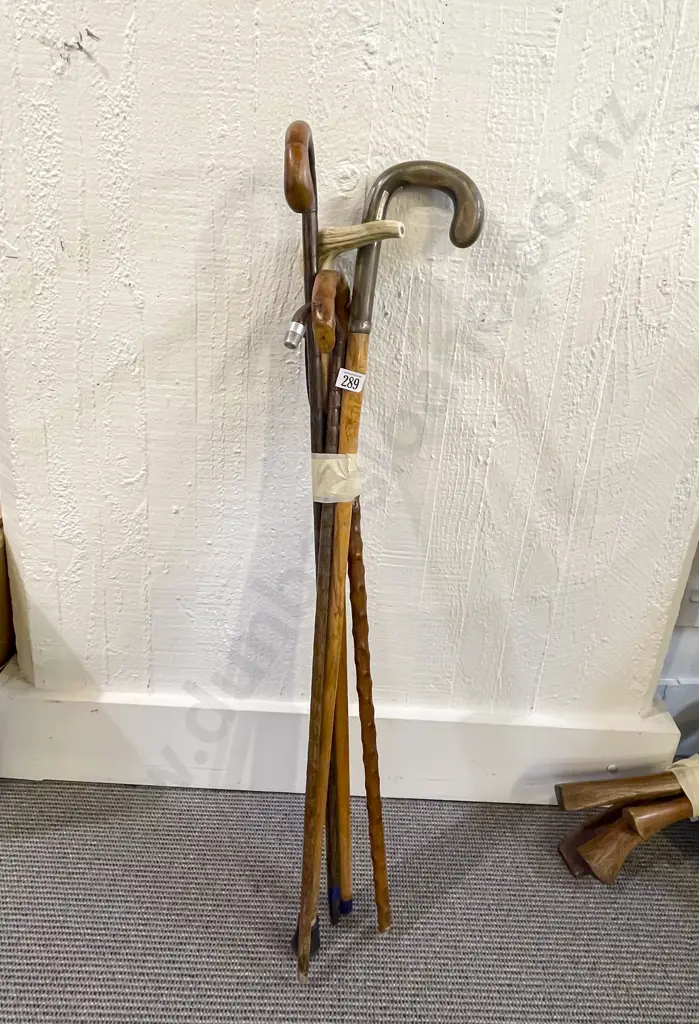 Five Assorted Walking Sticks Image 1++