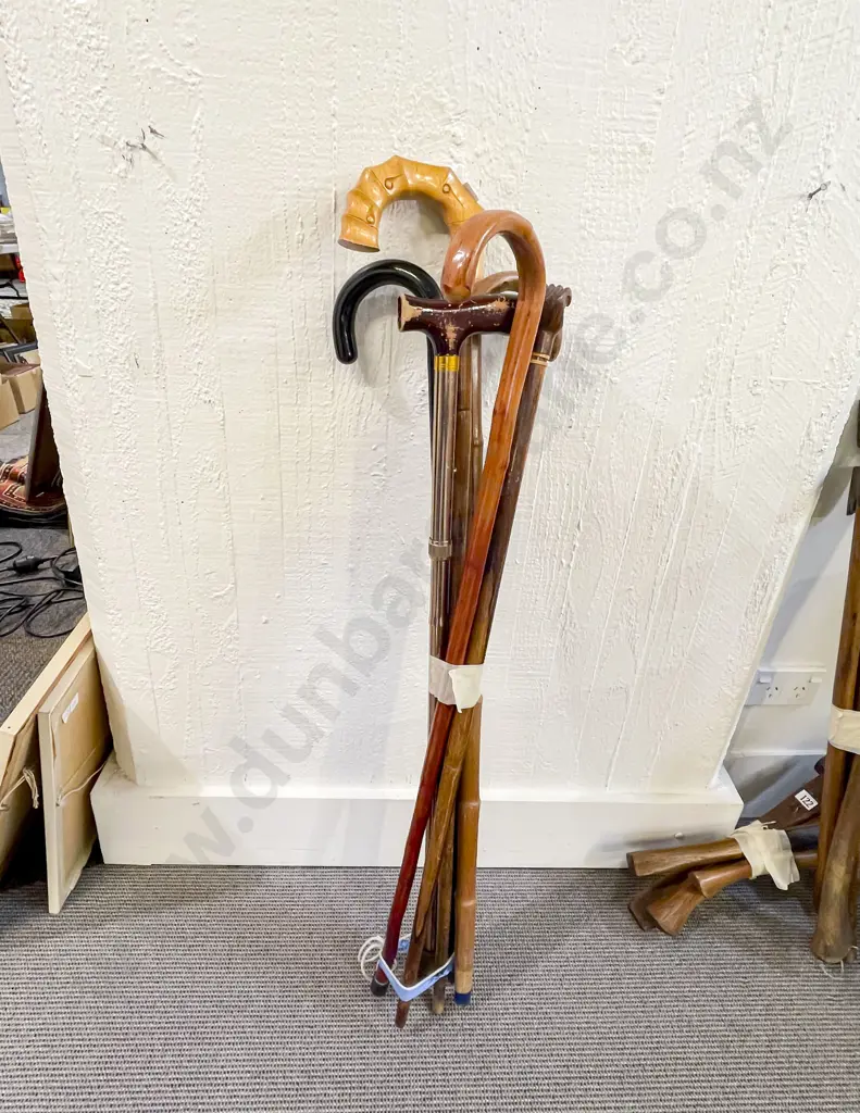 Six Assorted Walking Sticks Image 1++