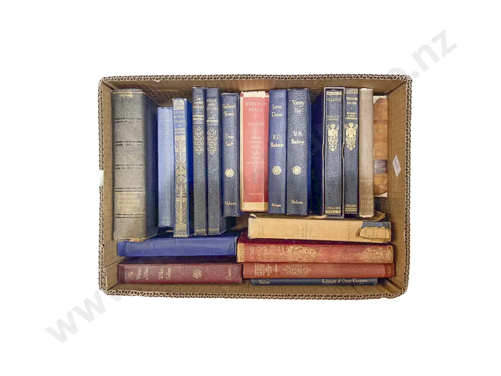 Quantity of Assorted Classic Novels Image 1++