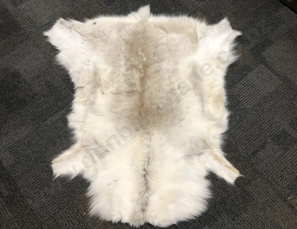 Reindeer Pelt Rug Image 1++