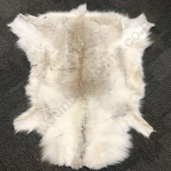 Reindeer Pelt Rug