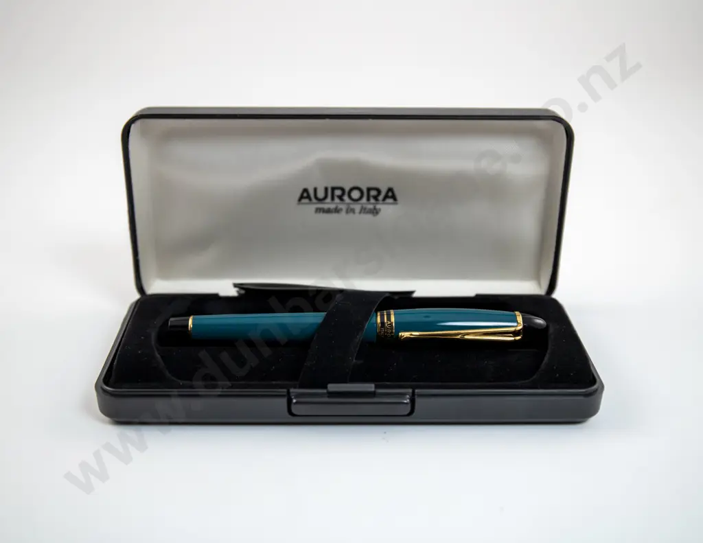Aurora B31 Ipsilon Fountain Pen Image 1++