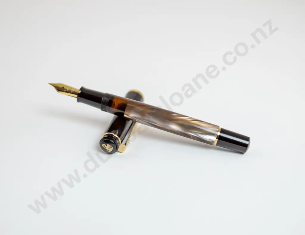 Pelikan Classic 200 Fountain Pen Image 1++